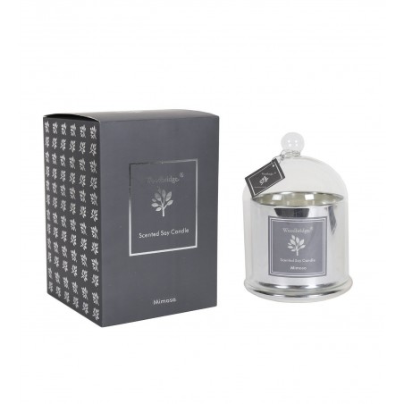 Grande jarre cloche Mimosa / Mimosa Woodbridge
