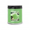 Petite Jarre Key Lime Gelato / Glace au citron vert - Goose Creek
