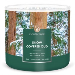 Jarre à 3 mèches Snow covered Oud / Balade dans les bois enneigés Goose Creek