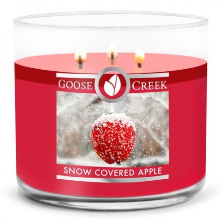 Jarre à 3 mèches Snow Covered Apple / Pomme glacée - Goose Creek