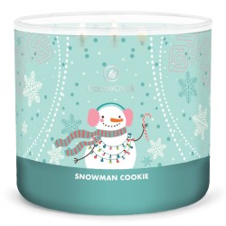 Moyenne Jarre Snowman...