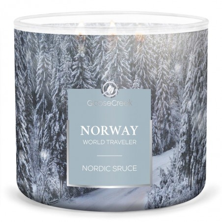 Moyenne Jarre Nordic Spruce - Épicea Nordique