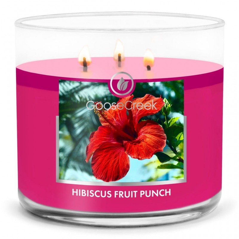 Moyenne Jarre Hibiscus Fruit Punch / Punch Aux Fruits Et À L’Hibiscus - Goose Creek