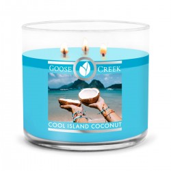 Moyenne Jarre Cool Island...