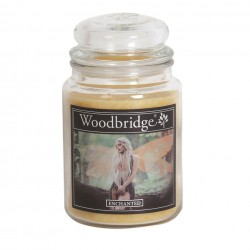 Grande Jarre Enchanted - Enchanté WoodBridge pas cher