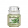 Moyenne Jarre Sage & Celery par Village Candle