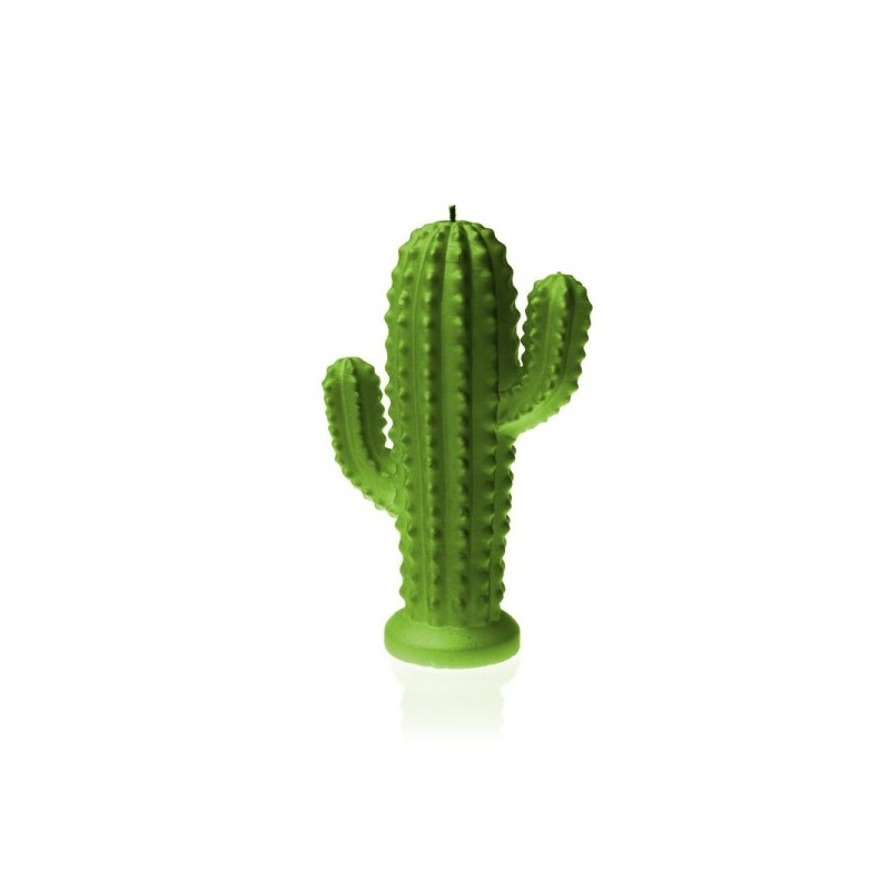 Bougie Cactus  - Lime