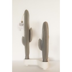 Duo bougies cactus gris - BLF