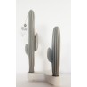 Duo bougies cactus gris - BLF
