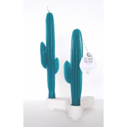 Duo bougies cactus pétrole...