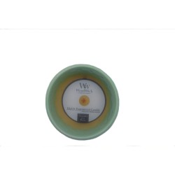 woodwick botanical gardens ceramic fern - Fougère