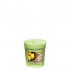 Votive Lemon Pistachio / Citron Pistache par Village Candle