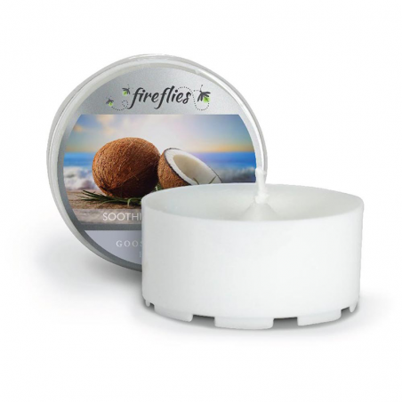 Lumignon Soothing Coconut / Noix de Coco des îles par Goose Creek