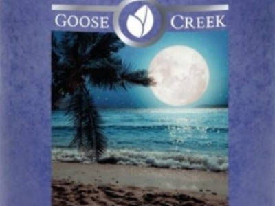 Goose Creek Moonlit